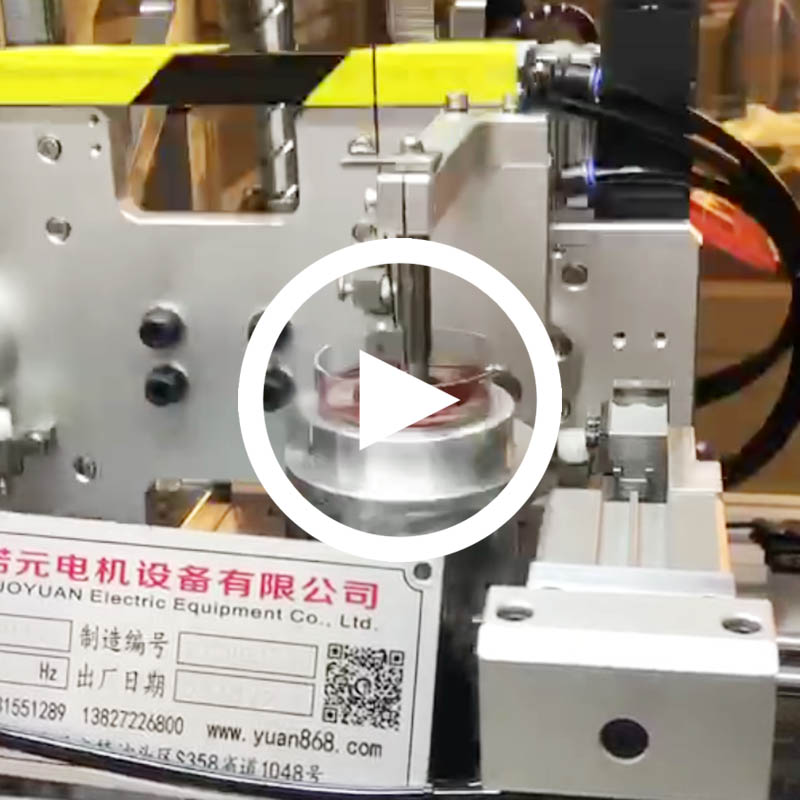 馬達(dá)定子全自動繞線機(jī)（雙工位）