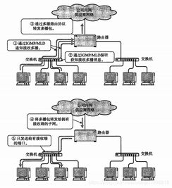 深入解析 計算機網絡中的其他IP相關技術與開發服務